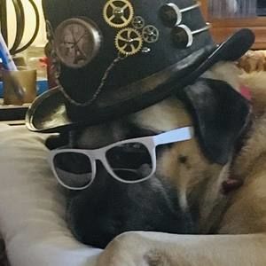 Meet your Posher, Amerie